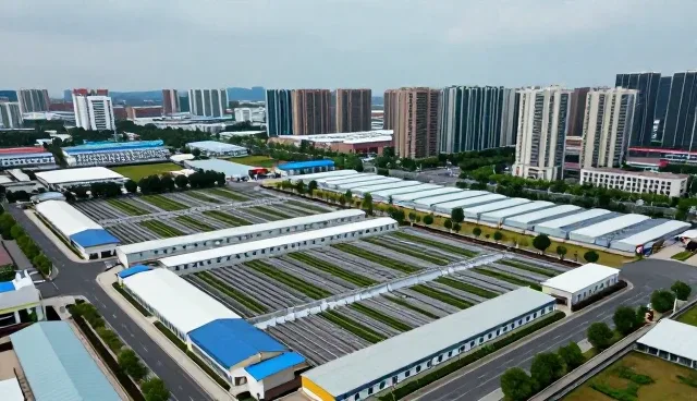 误区澄清：软件推广中忽视用户需求的真实影响